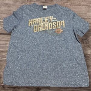 Harley-Davidson Men's Blue Graphic Tee